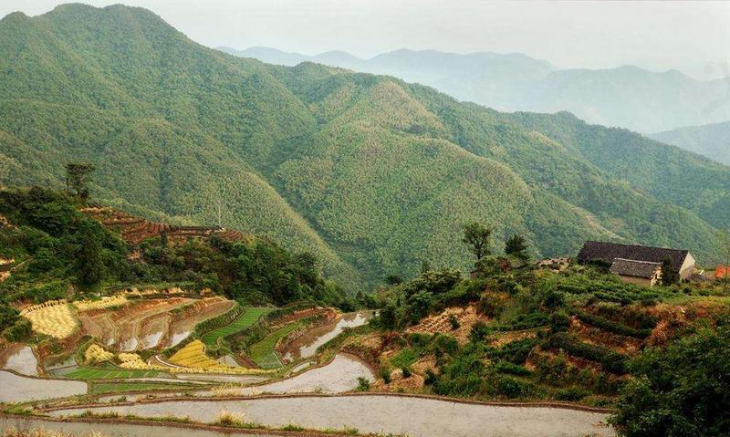 嵊州十八都江风景旅游区,山清水秀,崇山峻岭,茂林修竹,是浙江省十大