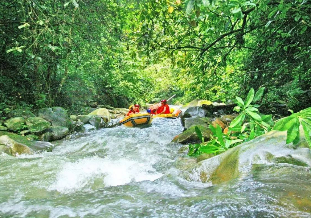 大王岭风景区