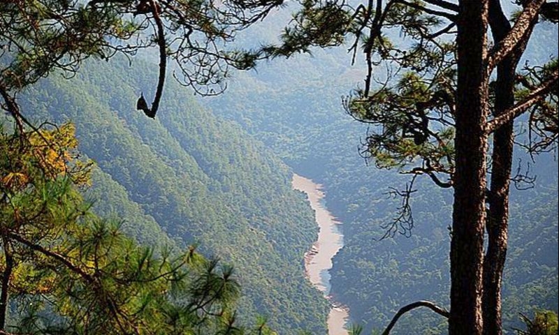 景谷威远江风景区以原始森林风光和中华塔林一绝"塔包树树包塔"为