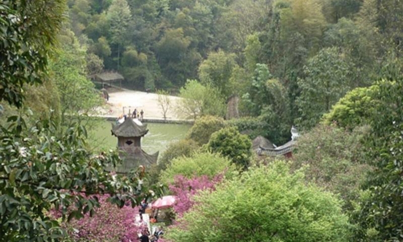 桃花源分桃花山,桃源山,桃仙岭,秦人村4个景区,其中桃花山,秦人村为