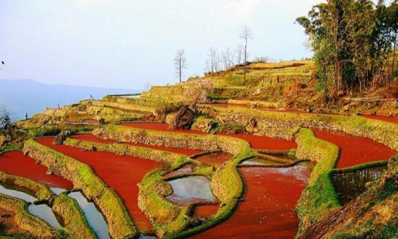元阳哈尼梯田景区