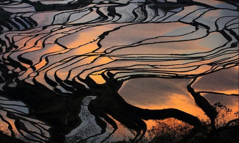 元阳哈尼梯田景区