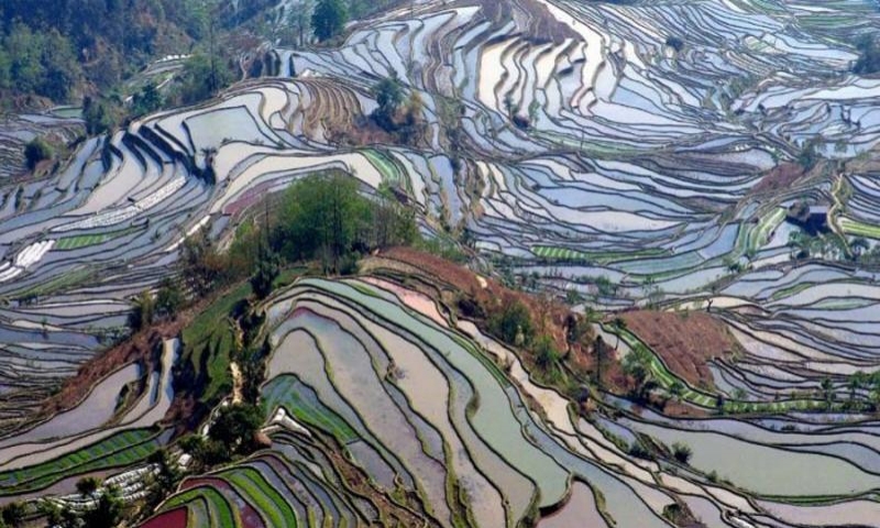 元阳哈尼梯田景区