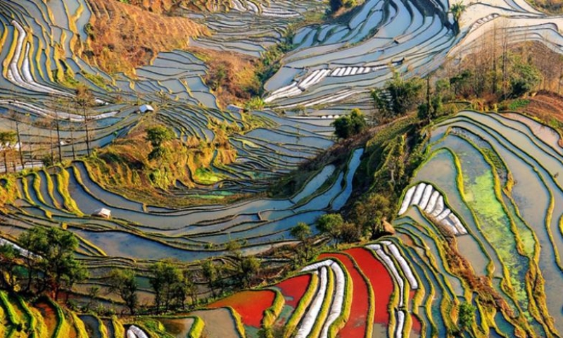 元阳哈尼梯田景区