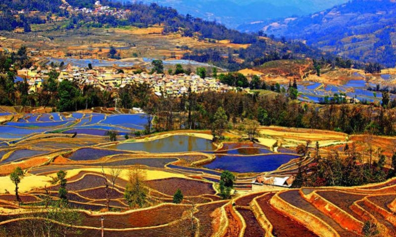 元阳哈尼梯田景区