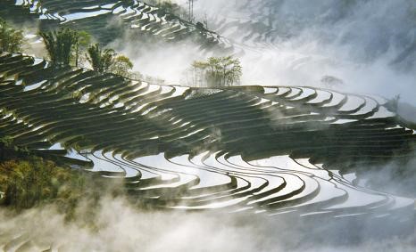 元阳哈尼梯田景区